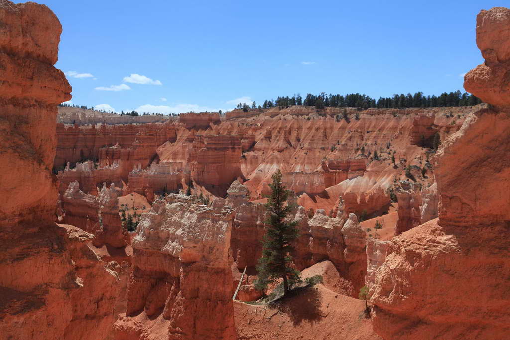 Bryce Canyon NP